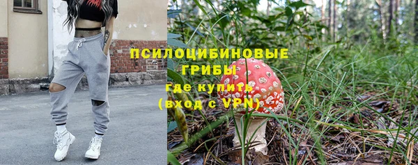 меф Няндома