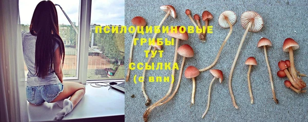 мдма Кинешма