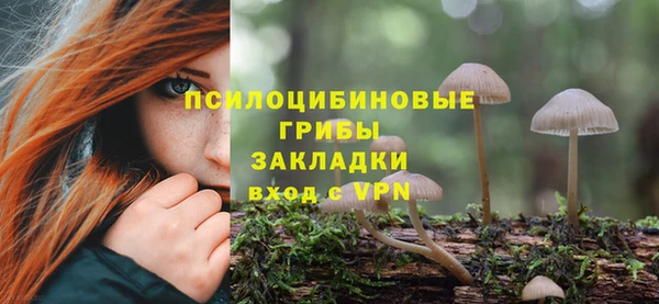 шишки Абинск