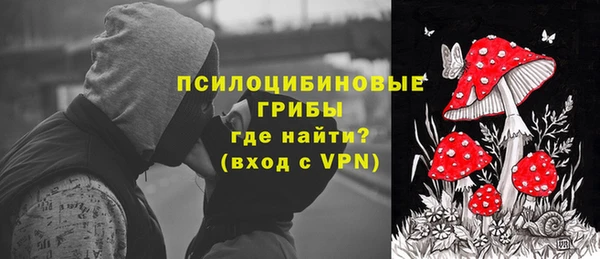 шишки Абинск