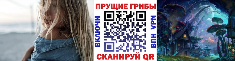 Псилоцибиновые грибы Cubensis  MEGA ТОР  Брюховецкая  купить  цена 